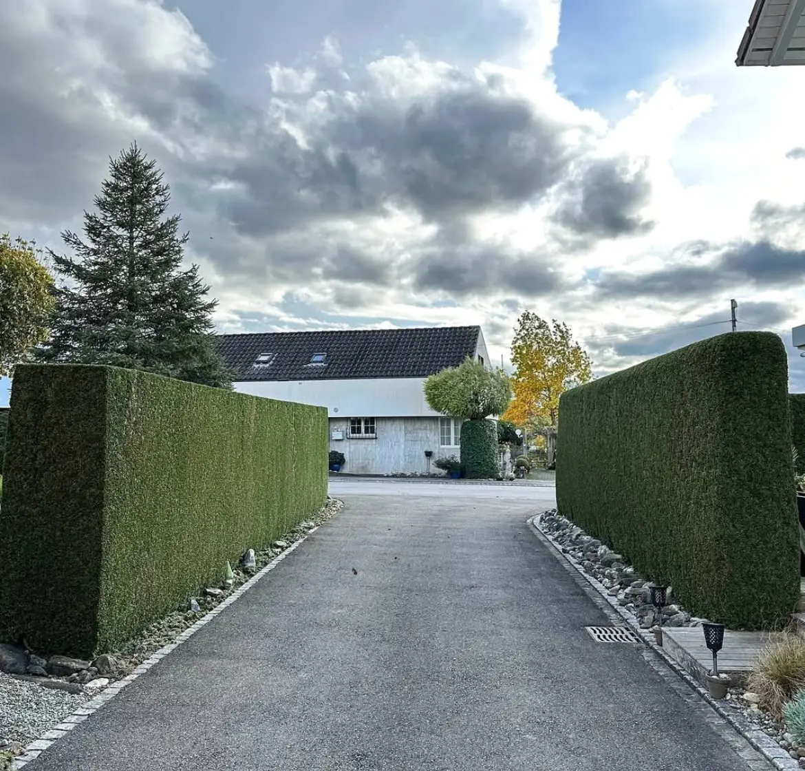 Gepflegte Zufahrt mit geschnittenen Hecken: Beispiel für HashTEC-Heckenpflege und Grauflächenpflege bei Privatimmobilien.